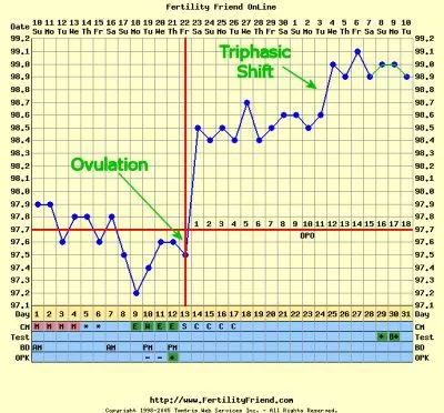 Triphasic BBT chart causes triphasic temperature shifts