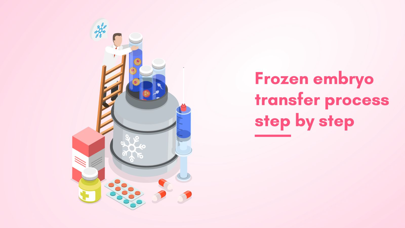 Frozen embryo transfer process