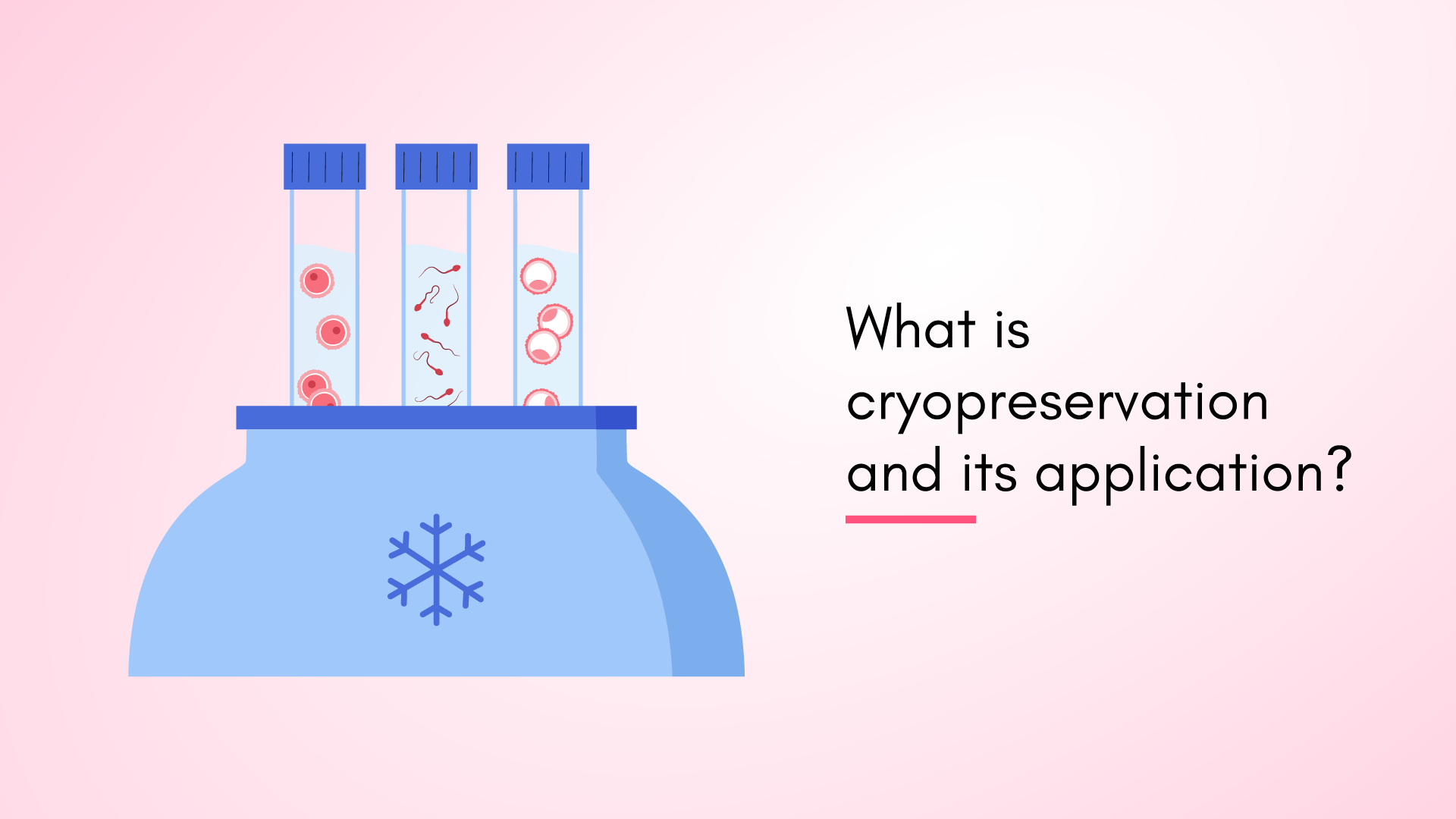 What Is Cryopreservation and Its Application?