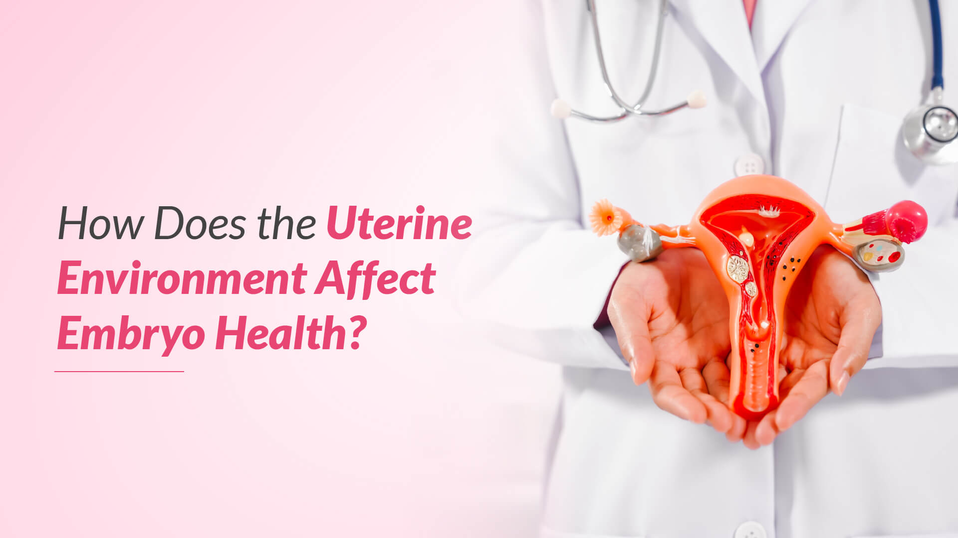 How Does the Uterine Environment Affect Embryo Health?