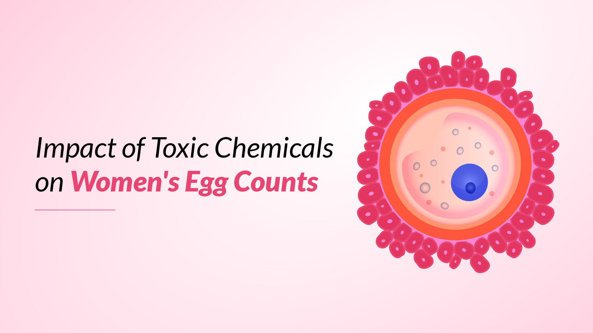 Impact of Toxic Chemicals on Women's Egg Counts