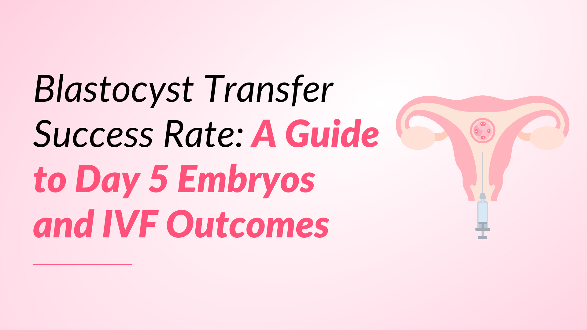 Blastocyst Transfer Success Rate: A Guide to Day 5 Embryos and IVF Outcomes